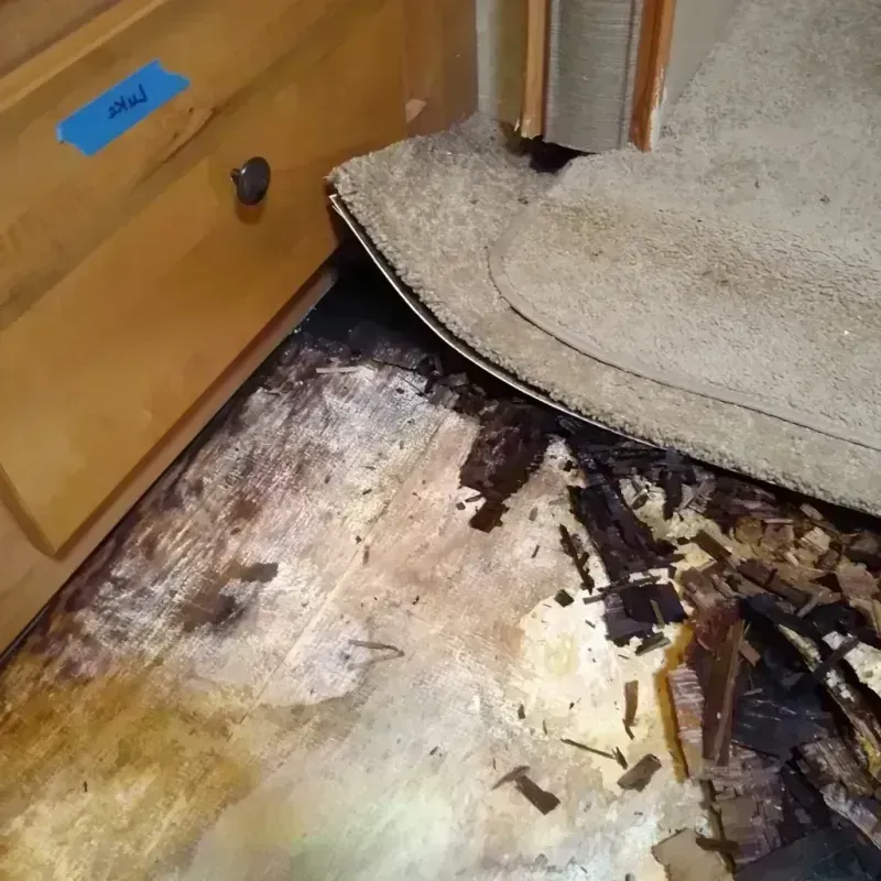 Wood Floor Water Damage in Grant, MN